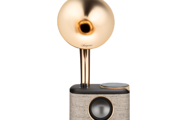 Radio Bluetooth Rétro Gramophone DAB+ / FM