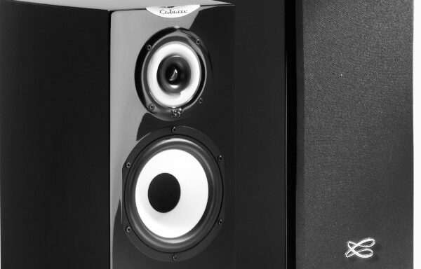 Cabasse – Haut-parleur MINORCA MC 40